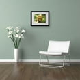 thumbnail image 3 of Trademark Fine Art "Coconut Palm II" Canvas Art by Victor Giton, Black Frame, 3 of 3