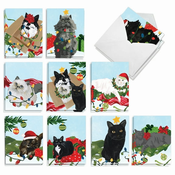 20 Merry Christmas Note Cards Pack (10 Designs, 2 Each) - Purr-fect Holiday Merry Christmas (4" x 5.12") AM9555XSG-B2x10