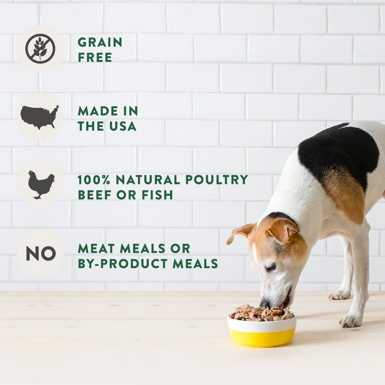Fresh grain clearance free dog food