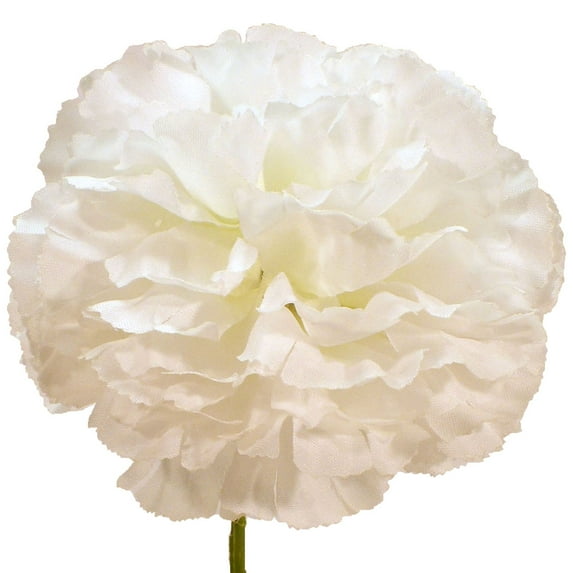 Box Of 100, Large 7.5 Inch Carnation Pick For Party, Wedding & Home Decor - White