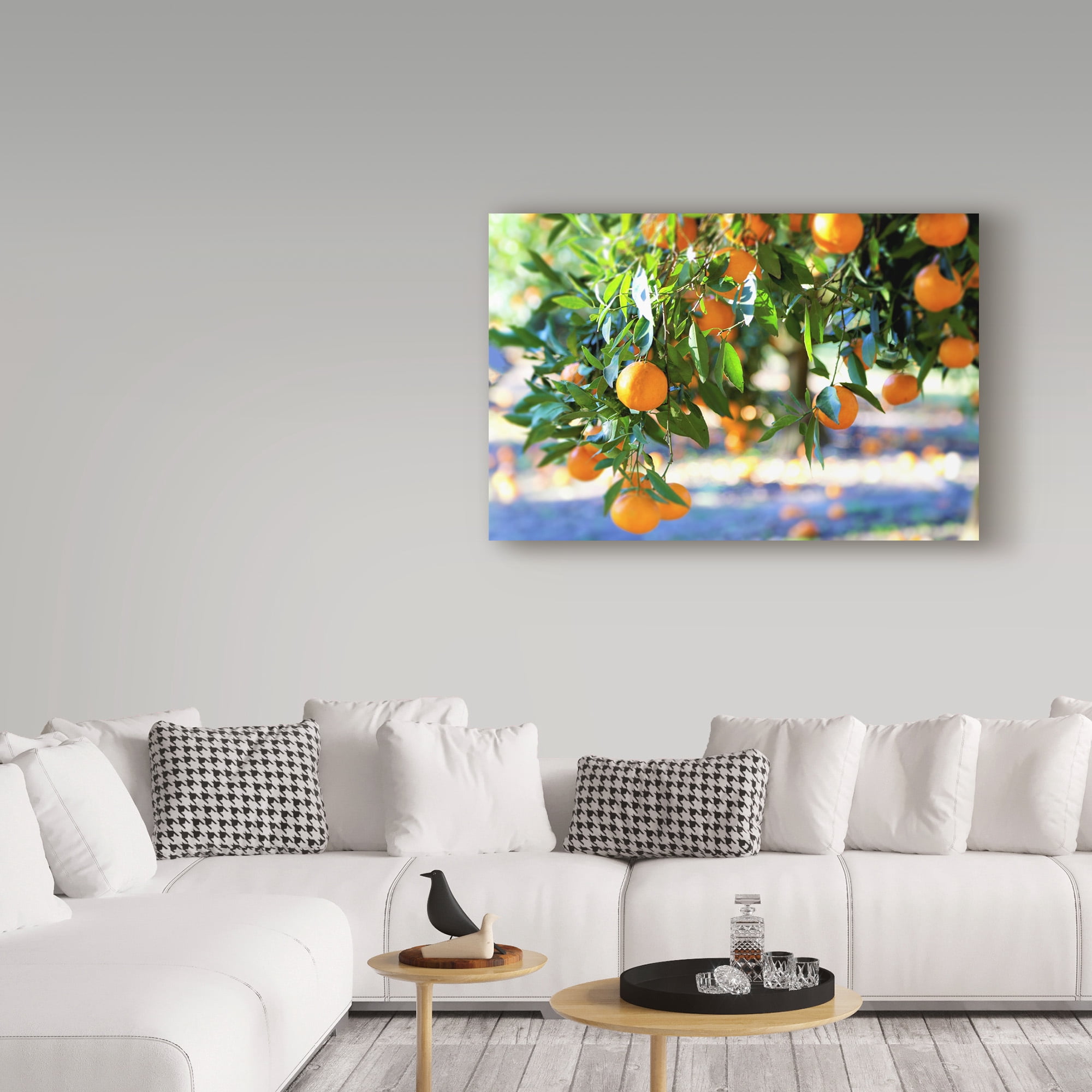 Trademark Fine Art 'Citrus Oranges' Canvas Art by Incredi