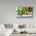 thumbnail image 3 of Trademark Fine Art 'Citrus Oranges' Canvas Art by Incredi, 3 of 3
