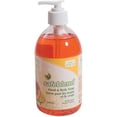 thumbnail image 1 of Safeblend HLMP5CD Hand & Body Soap 500ml Mango Papaya - 1 Each, 1 of 1