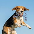 thumbnail image 5 of Oodles Durable Lasso Rope Dog Toy Set, Blue, Large, 5 of 9