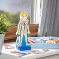 thumbnail image 2 of Melissa &amp; Doug Juego Magnético de Anatomía del Cuerpo Humano, Imanes Anatómicamente Correctos de Niños y Niñas, 24 Piezas Magnétic, 2 of 9