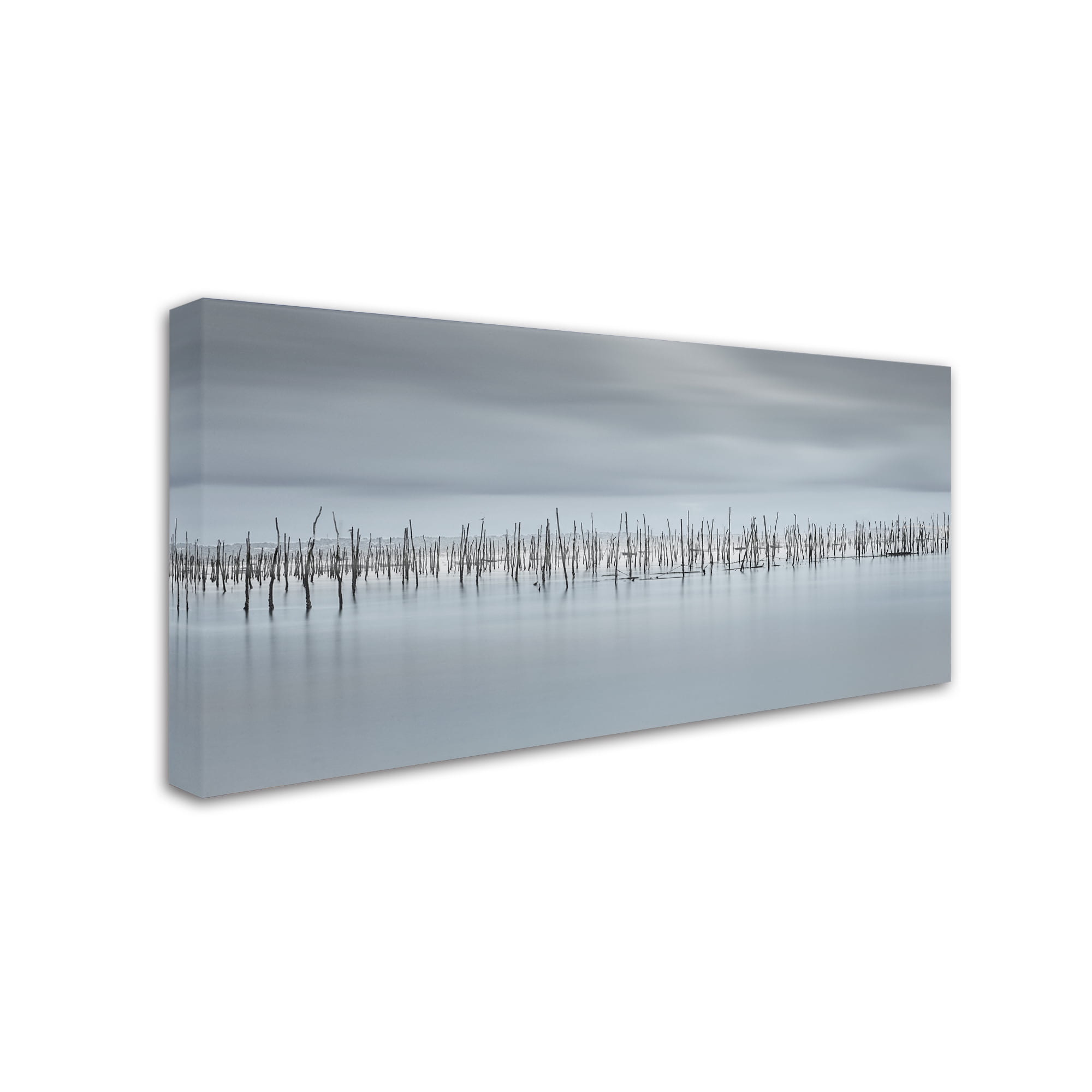 Trademark Fine Art 'Drawing Lines' Canvas Art by Moises Levy