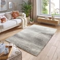 thumbnail image 6 of Pasargad Home Paris Shag Collection Power-Loomed Taupe Grey/Ivory Area Rug- 10' x 13', For Indoor Space and all Age of Group, 6 of 6