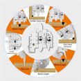 thumbnail image 4 of Fillet Weld Gauge Set, Welding Gauges Set, Wear Resistance Stainless Steel Measuring Ruler, Durable Welding Gauge For Measuring Angles, Heights, Widths, Gaps, 4 of 6