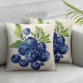 thumbnail image 2 of COMIO  Blueberry Pillows Nature Watercolor Painting Fruit Berries Green Leaves Throw Pillow Cover Decorative Pillow Case Square Cushion Accent Home  2pc, 2 of 6
