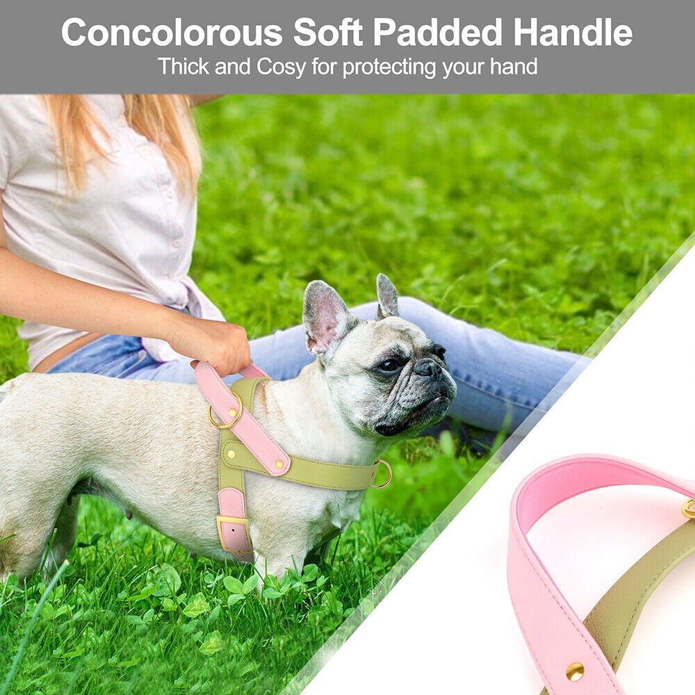 Didog Fashion No Pull Front Leading Dog Harness Soft Leather Adjustable Chest Vest with Handle