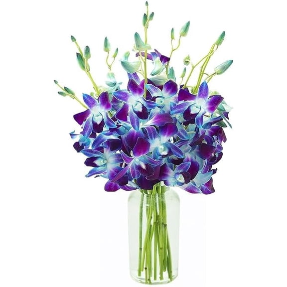 KaBloom : 10 Blue Dendrobium Orchids With Vase, Next-Day Delivery, Gift for Every Occasion.