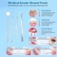thumbnail image 5 of Juego de bolsillo portátil para palillos de dientes de acero inoxidable, para picnic al aire libre, camping, viajes, 5 of 5