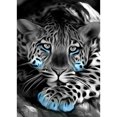 thumbnail image 1 of Taladro Pintura Diamante (DF3690) 5D DIY Completo Tigre Punto de Cruz Kits de Mosaico (W593) 45x60cm Hugtrwg Para estrenar, 1 of 1