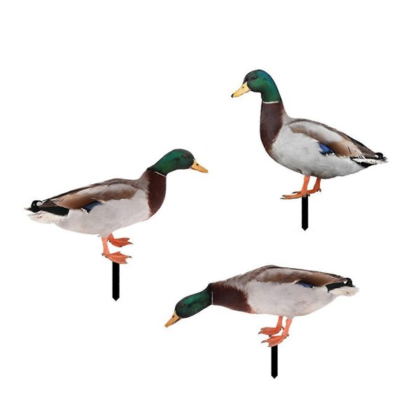 Piquets de Jardin Décoratifs pour Coq Décoration Extérieure Ornements Animaux Poulet Banmo