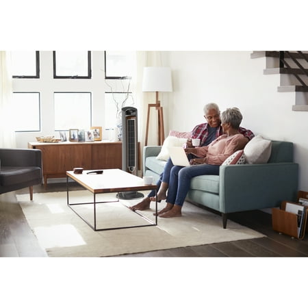Lasko Wind Curve 42" 3-Speed Oscillating Ionizer Remote Controlled Tower, Gray/Brown, 2554