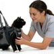 thumbnail image 1 of Bolsa de sujeción para aseo de gatos Cinf, talla M, para baño y corte de uñas, 1 of 9