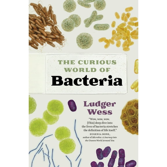 The Curious World of Bacteria (Hardcover)