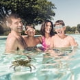 thumbnail image 4 of HUGFEGWE 1PC Pool Thermometer with Rope Outdoor, Pool Thermometer Floating Easy Read, Water Thermometer for Swimming Pool Spa Bathtub Aquarium and Fish Pond (Crab) CJB91-43451, 4 of 8
