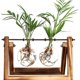 thumbnail image 1 of Hydroponics Vase Hanging Vase - Decorative Wood Holder, 1 of 5