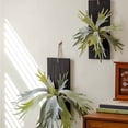 thumbnail image 4 of Artificial Antler Fern on Solid Wood Base, 4 of 7