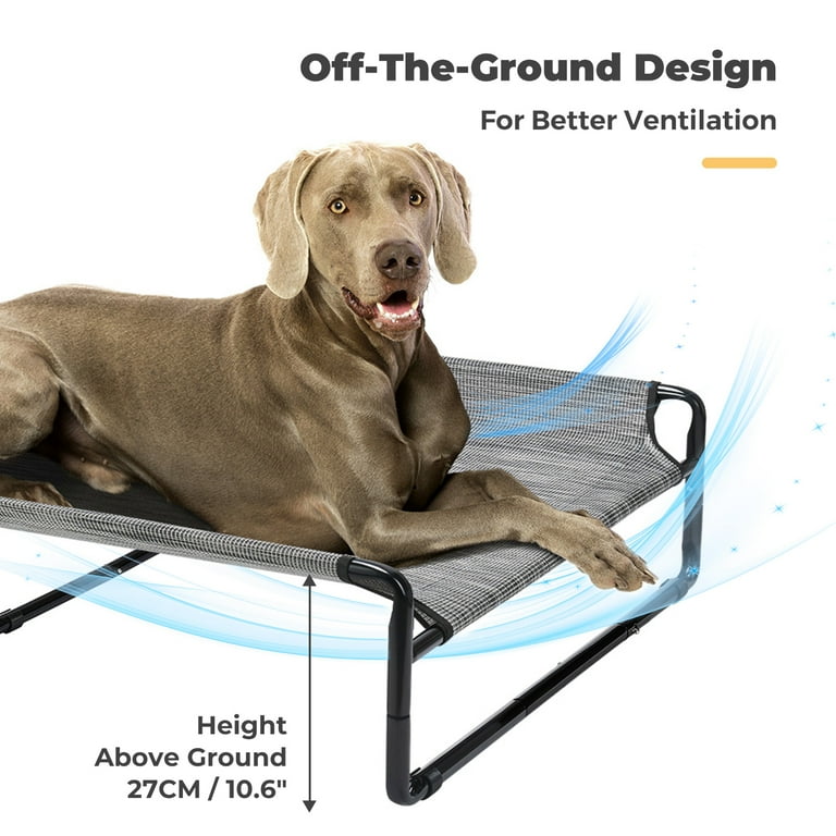 Dog bed raised off deals ground