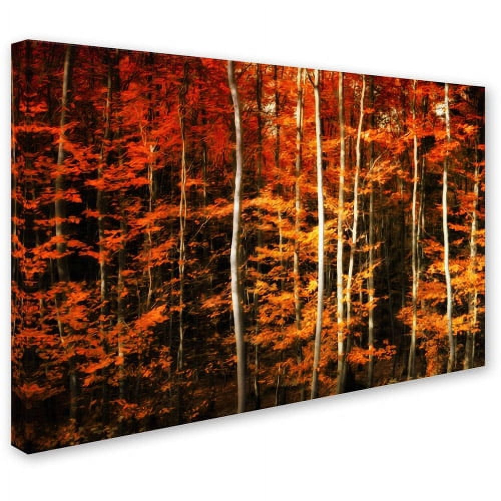 "Still Painting" Canvas Art by Philippe Sainte-Laudy