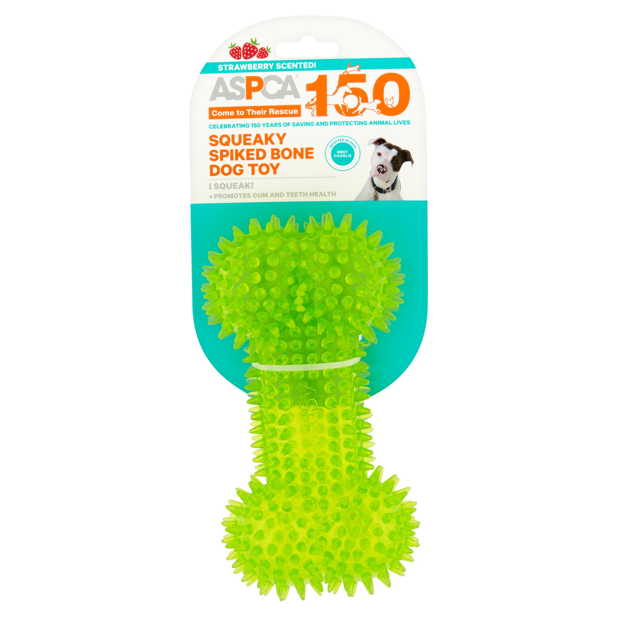 ASPCA Strawberry Scented Squeaky Spiked Dog Bone Toy, Large, Green