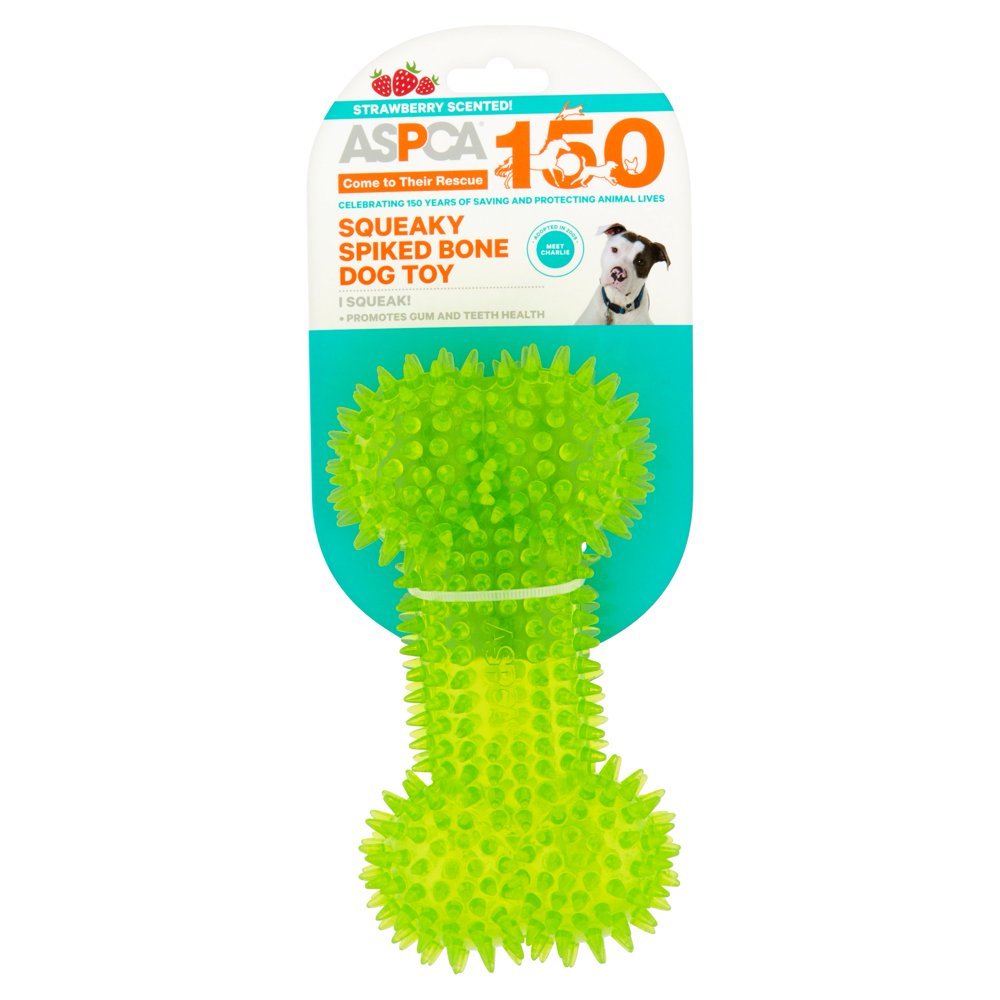 ASPCA Strawberry Scented Squeaky Spiked Dog Bone Toy, Large, Green