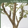 thumbnail image 3 of Laintene 7ft Artificial Olive Tree – Realistic Faux Olive Tree with 1872 Leaves & Black Pot, Indoor Greenery for Living Room, Office, or Home Decor, Easy Assembly, 3 of 7