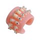 thumbnail image 1 of Nuevo diseño de tirantes de nicho bonitos dientes pequeños de resina estilo de pareja masculina y femenina para mujeres diámetro interior de aproximadamente 17mm ANGGREK Otros, 1 of 8