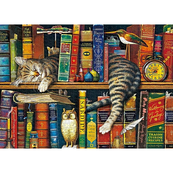 1000 Piece Jigsaw Puzzle | Cat in The Mirror, Jigsaw Puzzles for Adults, Cat Puzzle, Coffee Table Puzzle