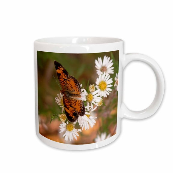 3drose, Monarch Butterfly on Wild Daisies, 11oz Mug