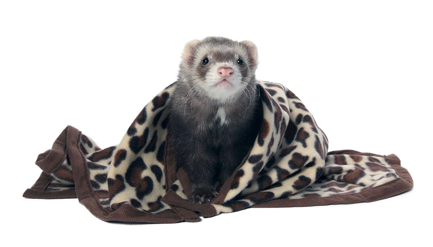 Marshall Designer Fleece Blanket for Ferrets, Pattern Fleece, The