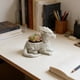 thumbnail image 4 of Maceta con forma de dragón para suculentas, contenedor para plantas pequeñas con diseño de criatura mítica | Maceta decorativa para cactus y mini plantas de interior, 4 of 7