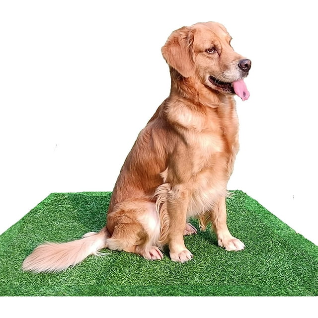 41" X 30" Artificial Grass Patch for Dogs Potty Training, Washable Reusable Turf Grass Pee Pads