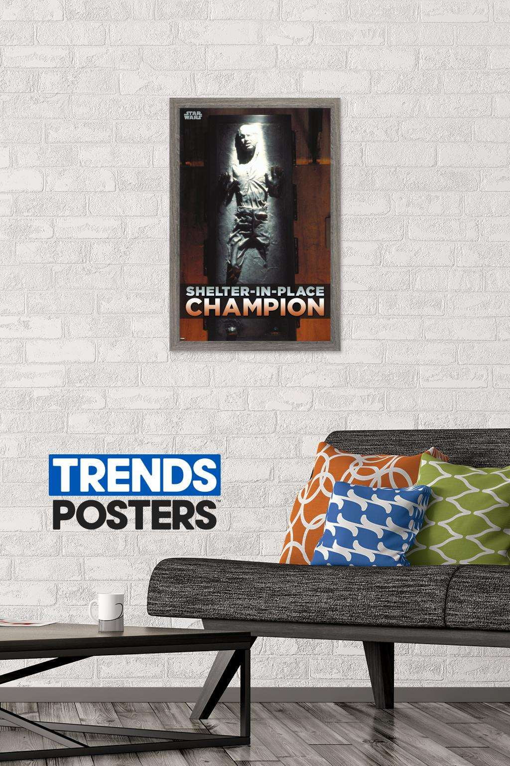 Star Wars: Saga - Han Solo - Shelter In Place Wall Poster, 14.725" x 22.375", Framed