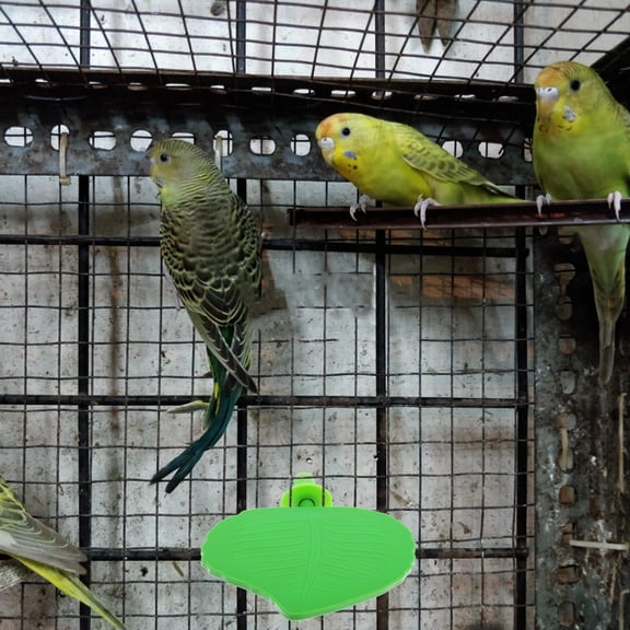 ELAYARD Green ABS Flat Bird Perch Stand for Parrots and Lovebirds, Cage Accessory, 1 Pack