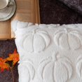thumbnail image 4 of Fundas de almohada decorativas de otoño de calabaza 2024 18, 4 of 7