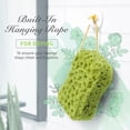 Spongentle 3-Pack Dual Texture Body Sponge: Deep Cleansing and Gentle ...