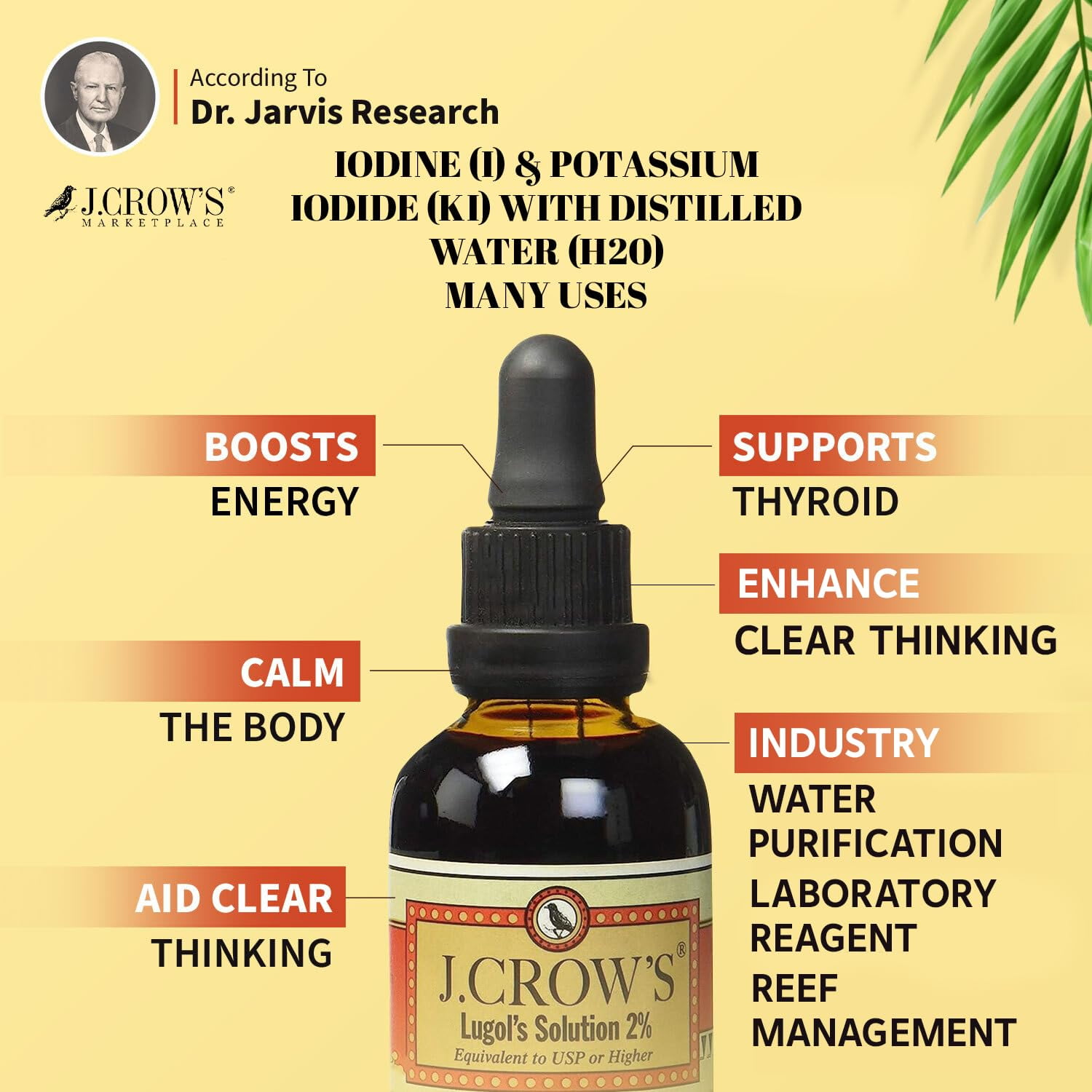 12-Pack J. Crow's Lugol's Solution 2% - 2 fl oz