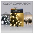 thumbnail image 3 of 5mm LED Wide Angle Warm White Prelamped Light Set, Green Wire - 70 5mm Warm White LED Christmas Lights, 6" Spacing, 3 of 6