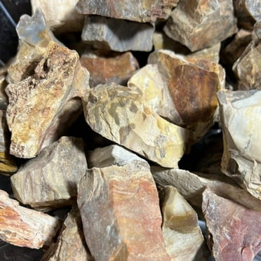 Petrified Wood Rough Stone