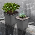thumbnail image 6 of SEBLAFF 5 PCS Re-usable Square Nursery Pot 10 Gallon Plastic Grow Pots Plant Black, 6 of 8