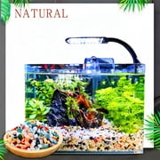 LIFEBESTONE Small Aquarium Gravel for Fish Tank, Rocks for Substrate, River Rock for Indoor Plants, Pea Gravel for Landscaping, Pebbles (3 LBS)