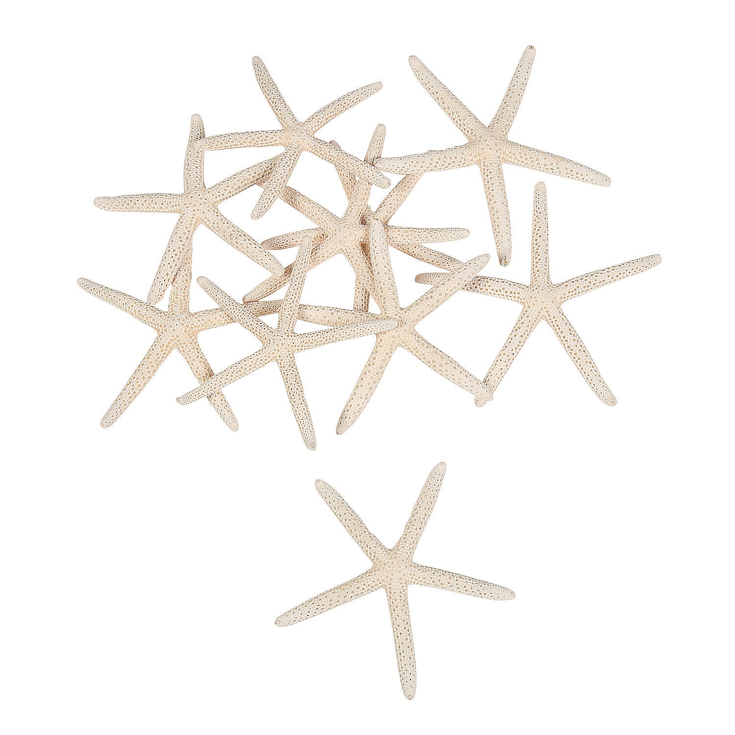 Home Decor 15 Pieces creamy-white Pencil Finger Starfish For Wedding Decor 