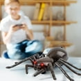 thumbnail image 3 of Simulation RC Spider Toy Remote Control Wireless Robot Tarantula Scorpion Toy Realistic Crawling Fake Electric Animals for Prank, 3 of 7