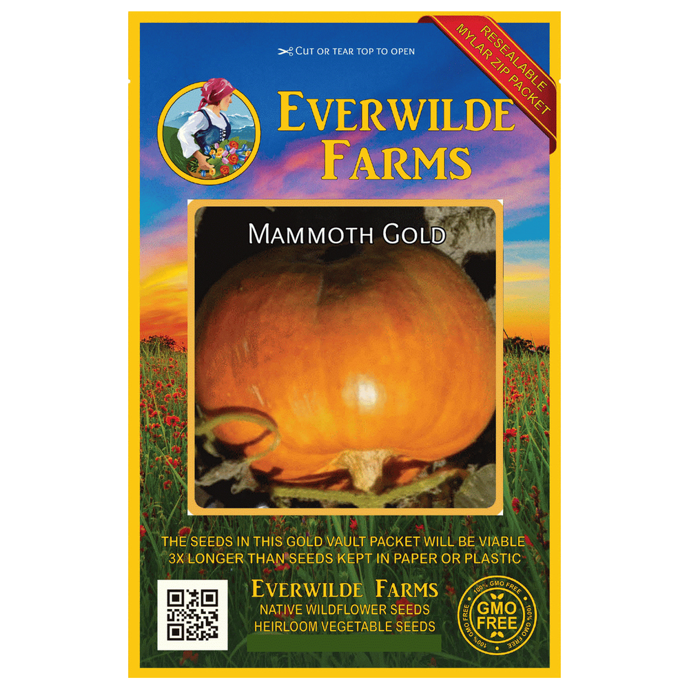 Everwilde Farms 40 Mammoth Gold Pumpkin Seeds Gold Vault Jumbo Bulk