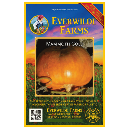 Everwilde Farms - 40 Mammoth Gold Pumpkin Seeds - Gold Vault Jumbo Bulk Seed (Best Pumpkin Seeds For Planting)