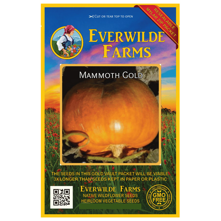 Pumpkin Seed Packet - Everwilde Farms - 40 Mammoth Gold Pumpkin Seeds - Gold Vault Jumbo Bulk Seed Packet