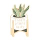 thumbnail image 1 of Minnieouse Broches de cactus de dibujos animados, joyería suculenta, alfileres de solapa esmaltados, insignias para mochila, adornos para abrigo de ropa Accesorios de disfraces XZ3278 Minnieouse AP010032-01, 1 of 6